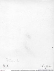 Historisches Foto (Rückseite) von Eodromites dobrogea (Feldmann, Lazar & Schweitzer, 2006) (NHMW-AFW-GEO-BACHMAYER-FOTO-1990-0041-0002)